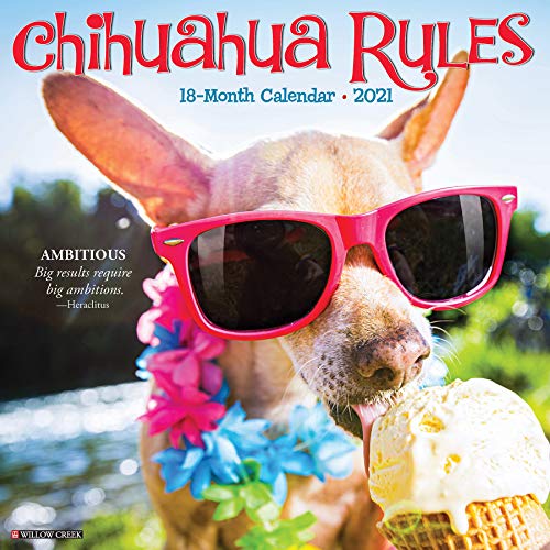 Chihuahua Rules 2021 Calendar