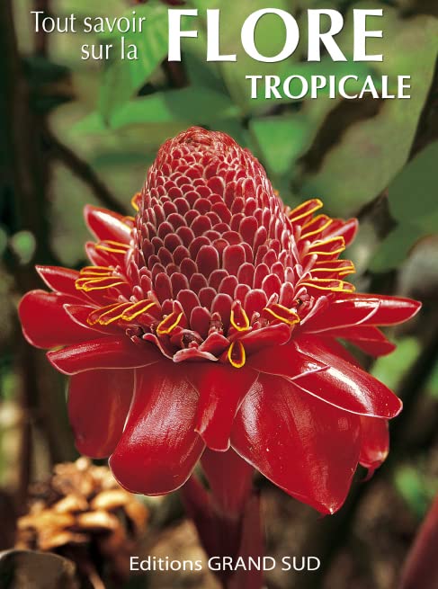 Tout savoir sur la Flore tropicale