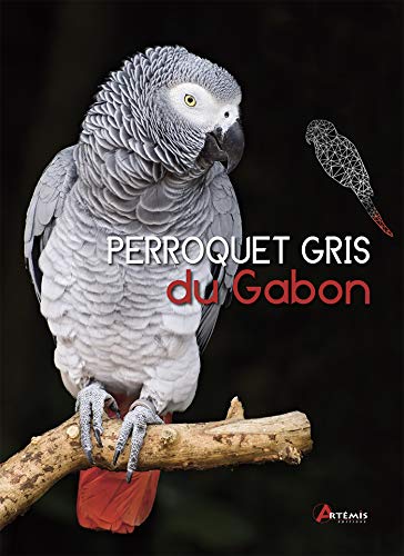 Perroquet gris du Gabon (0)
