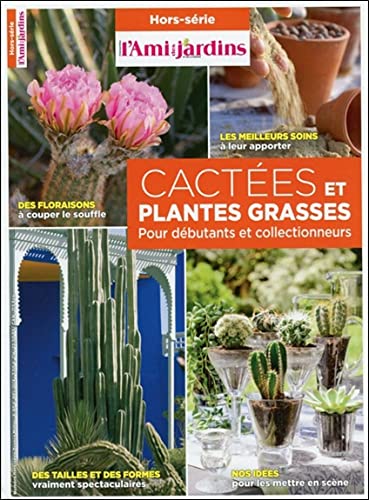 Cactées et plantes grasses - Pour débutants et collectionneurs