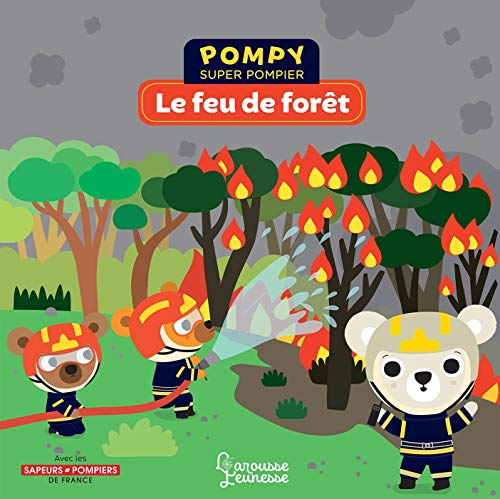 Pompy - Le feu de forêt