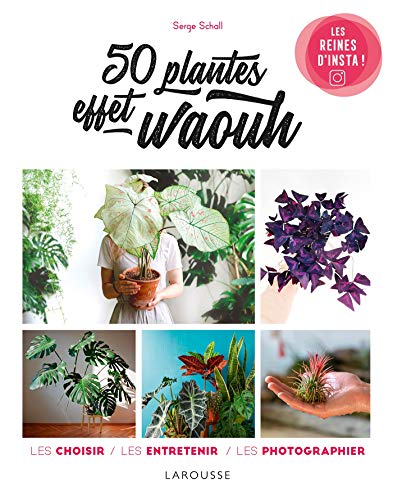 50 plantes effet waouh: Les choisir, les entretenir, les photographier