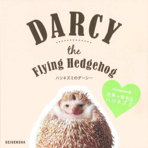 Darcy the Flying Hedgehog