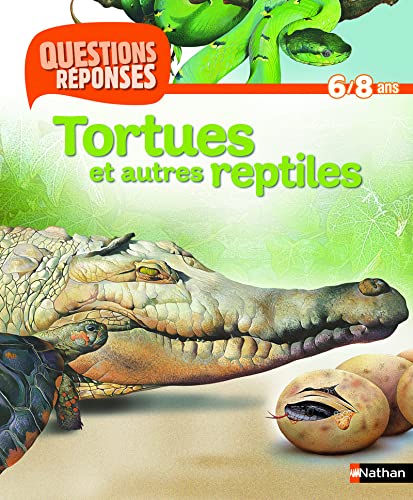 Tortues et autres reptiles (10)