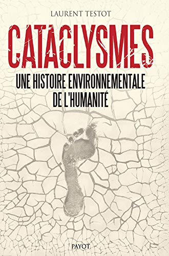 Cataclysmes: Une histoire environnementale de l'humanité