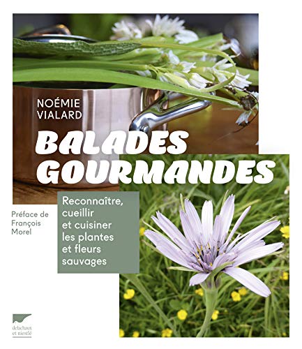 Balades gourmandes: Reconnaître, cueillir et cuisiner les plantes et fleurs sauvages