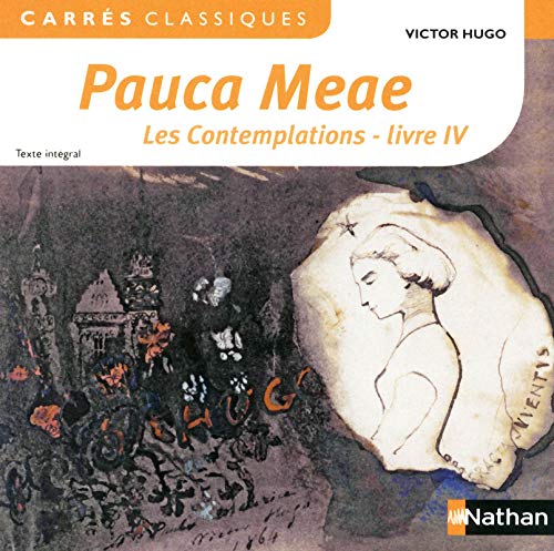 Pauca Meae, les Contemplations - livre IV