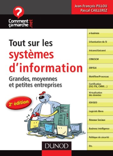 Tout sur les systèmes d'information - 2e édition - Grandes, moyennes et petites entreprises: Grandes, moyennes et petites entreprises