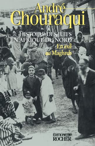 Histoire des Juifs en Afrique du Nord, tome 1 : En exil au Maghreb