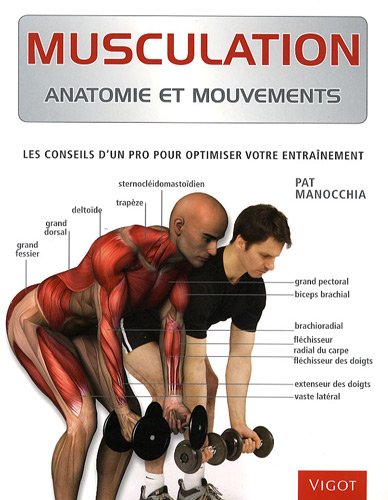 Musculation: Anatomie et mouvements