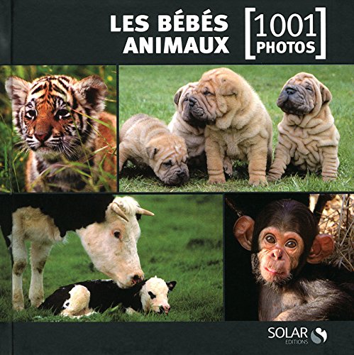 Les bébés animaux en 1001 photos