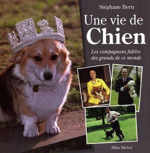 Une vie de chien