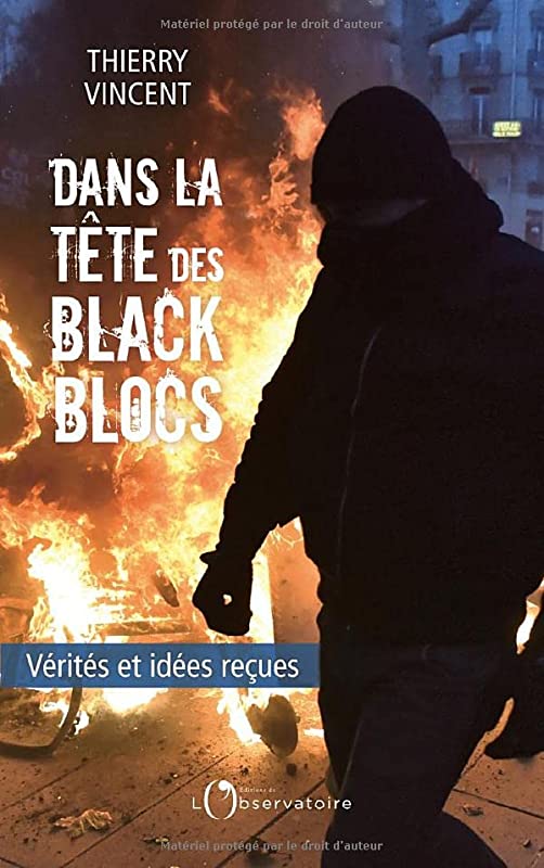 Dans la tête des black blocs: Vérités et idées reçues