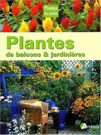 Plantes de balcons et jardinières