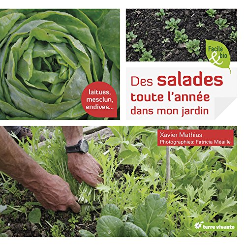 Des salades toute l'année dans mon jardin: Laitues, mesclun, endives ...