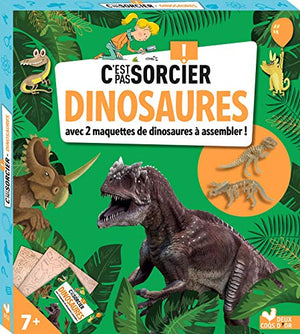 C'est pas sorcier les dinosaures