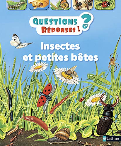 Insectes et petites bêtes - Questions/Réponses - doc dès 7 ans (11)